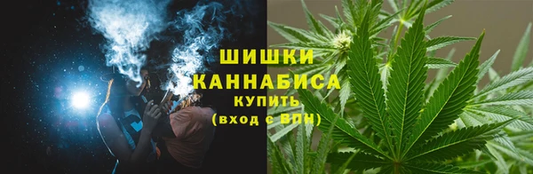 индика Заволжье