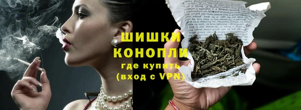 молекула духа Заводоуковск