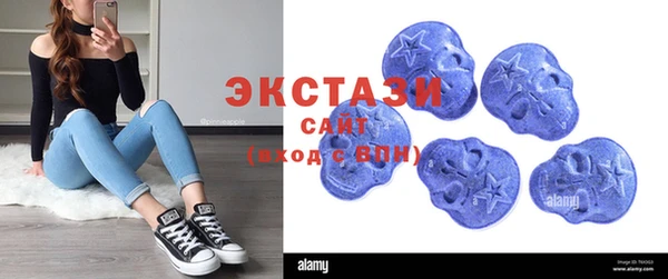 индика Заволжье