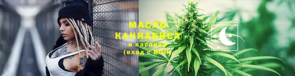 индика Заволжье