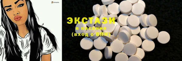 индика Заволжье