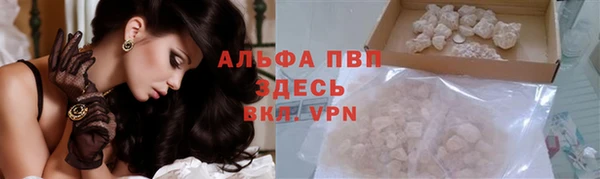 молекула духа Заводоуковск