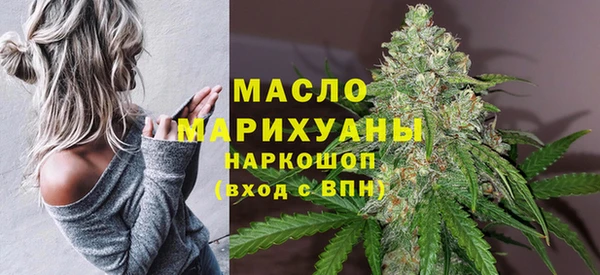 индика Заволжье