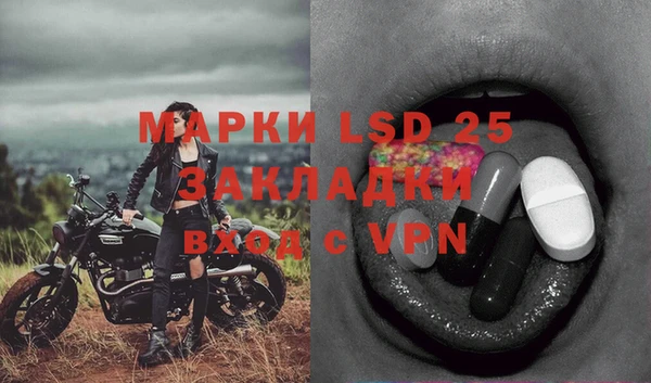 молекула духа Заводоуковск
