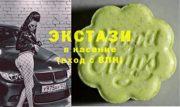 индика Заволжье