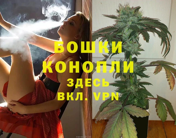 индика Заволжье