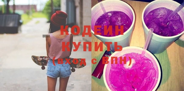 индика Заволжье