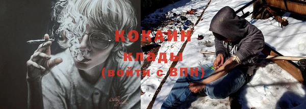 молекула духа Заводоуковск