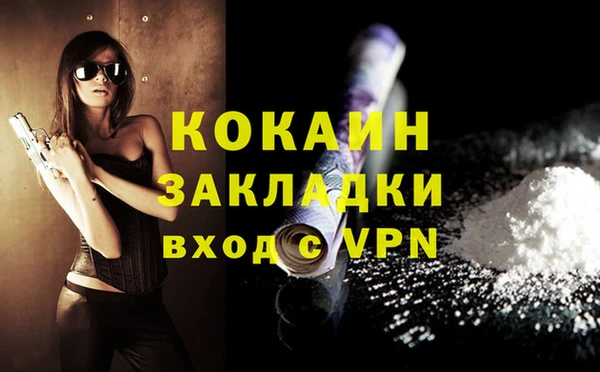 индика Заволжье