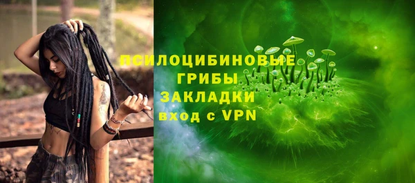 молекула духа Заводоуковск