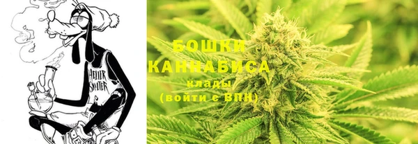 молекула духа Заводоуковск