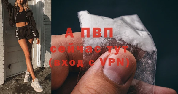 индика Заволжье