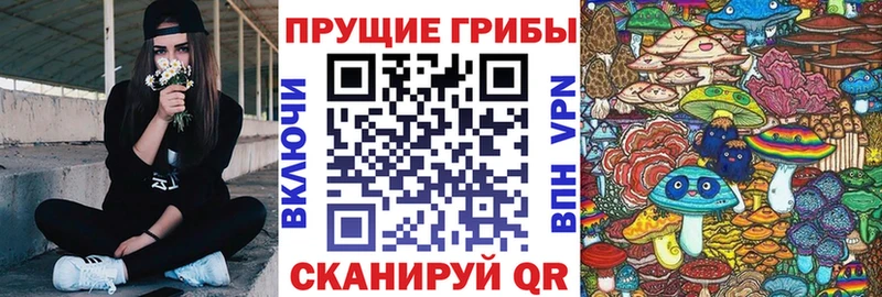 Псилоцибиновые грибы Psilocybine cubensis Саров